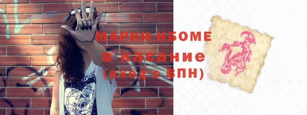 ГАЛЛЮЦИНОГЕННЫЕ ГРИБЫ Семёнов