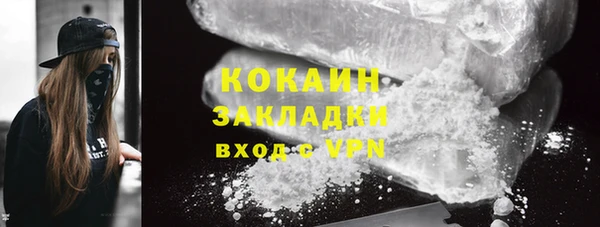 ГАЛЛЮЦИНОГЕННЫЕ ГРИБЫ Семёнов