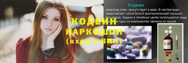 дживик Гусь-Хрустальный