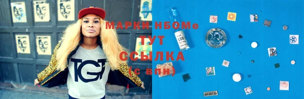 ГАЛЛЮЦИНОГЕННЫЕ ГРИБЫ Семёнов