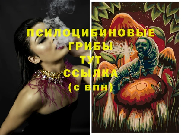 крисы Семилуки