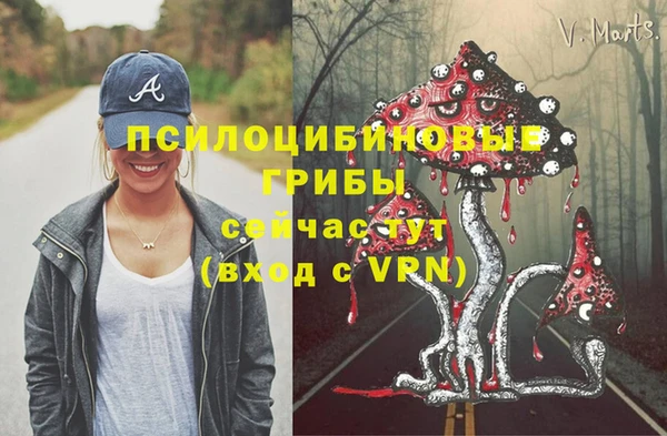 ГАЛЛЮЦИНОГЕННЫЕ ГРИБЫ Семёнов