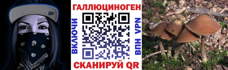 Псилоцибиновые грибы MAGIC MUSHROOMS  магазин продажи наркотиков  Морозовск 
